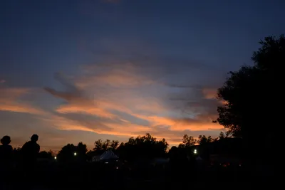 DSC_2369 (Large).JPG